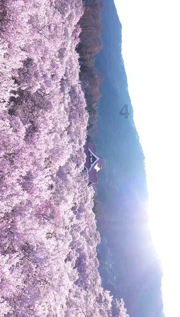 小货车50分钟行驶了90km。平均每千米需要多少分钟?平均每分钟需要多少千米?游戏画面
