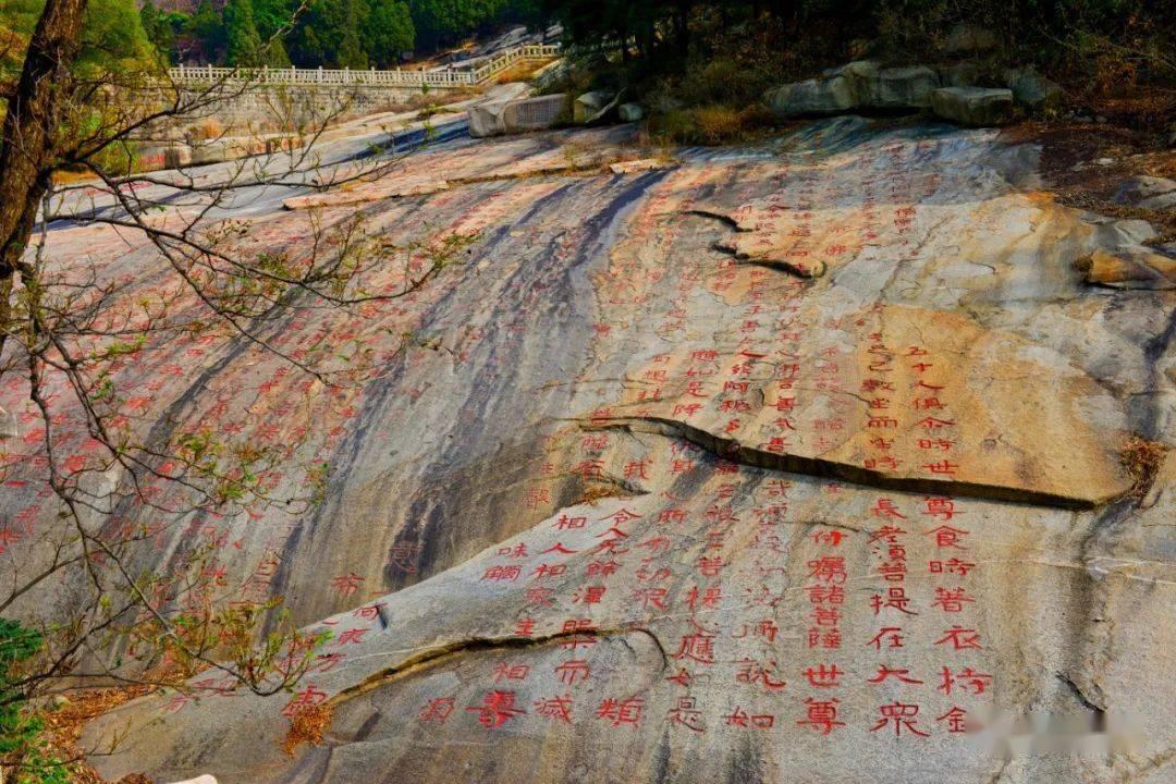 情商是反映一个人做人的表现，那么该如何培养高情商的宝宝呢？游戏画面